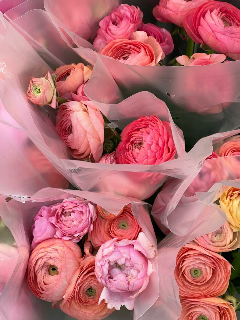 Celofan we florystyce