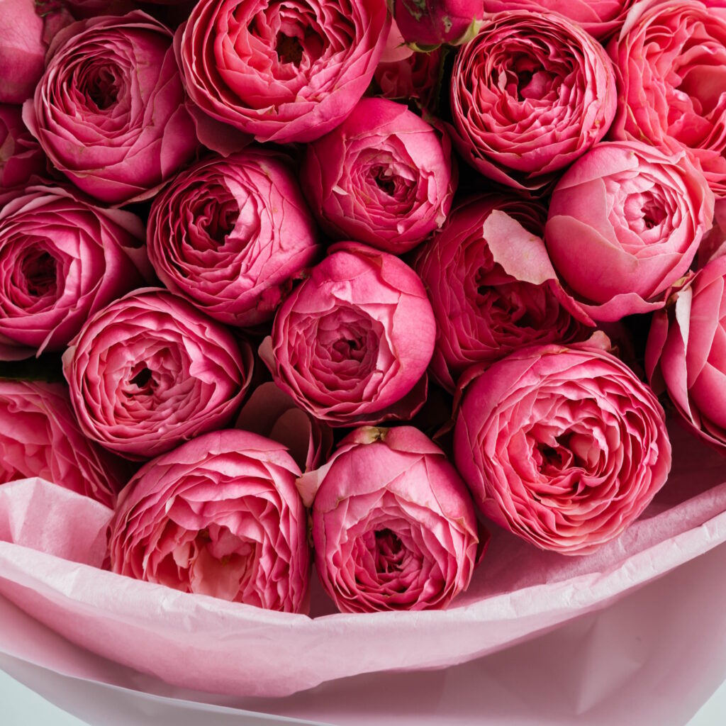 Silva Pink Bouquet z peoniowych róż gałązkowych