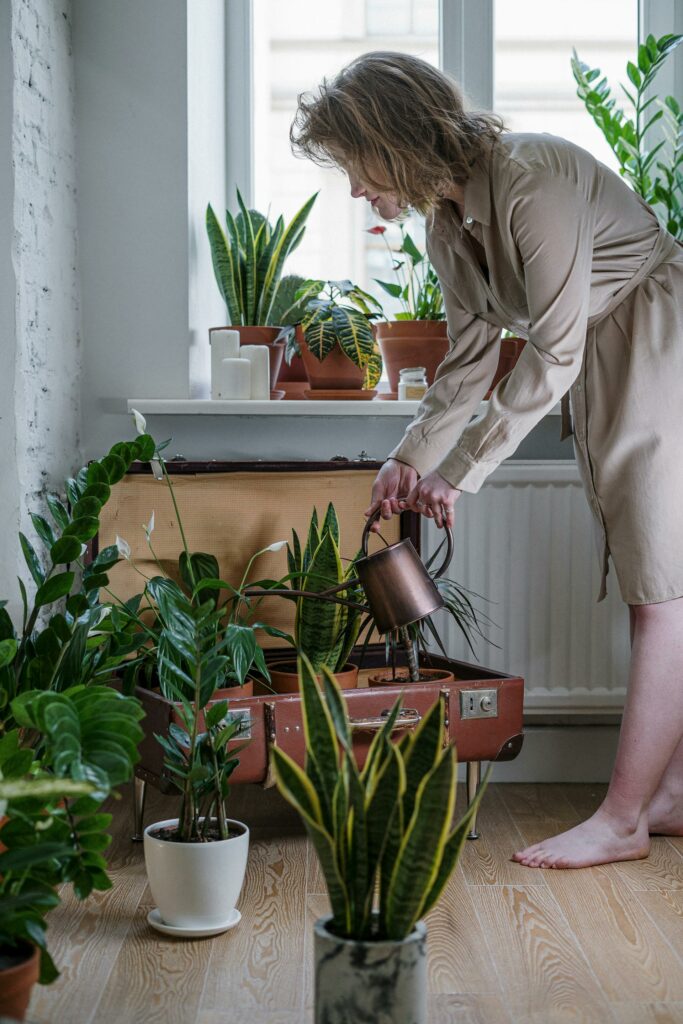 Podlewanie kwiatów co ile dni