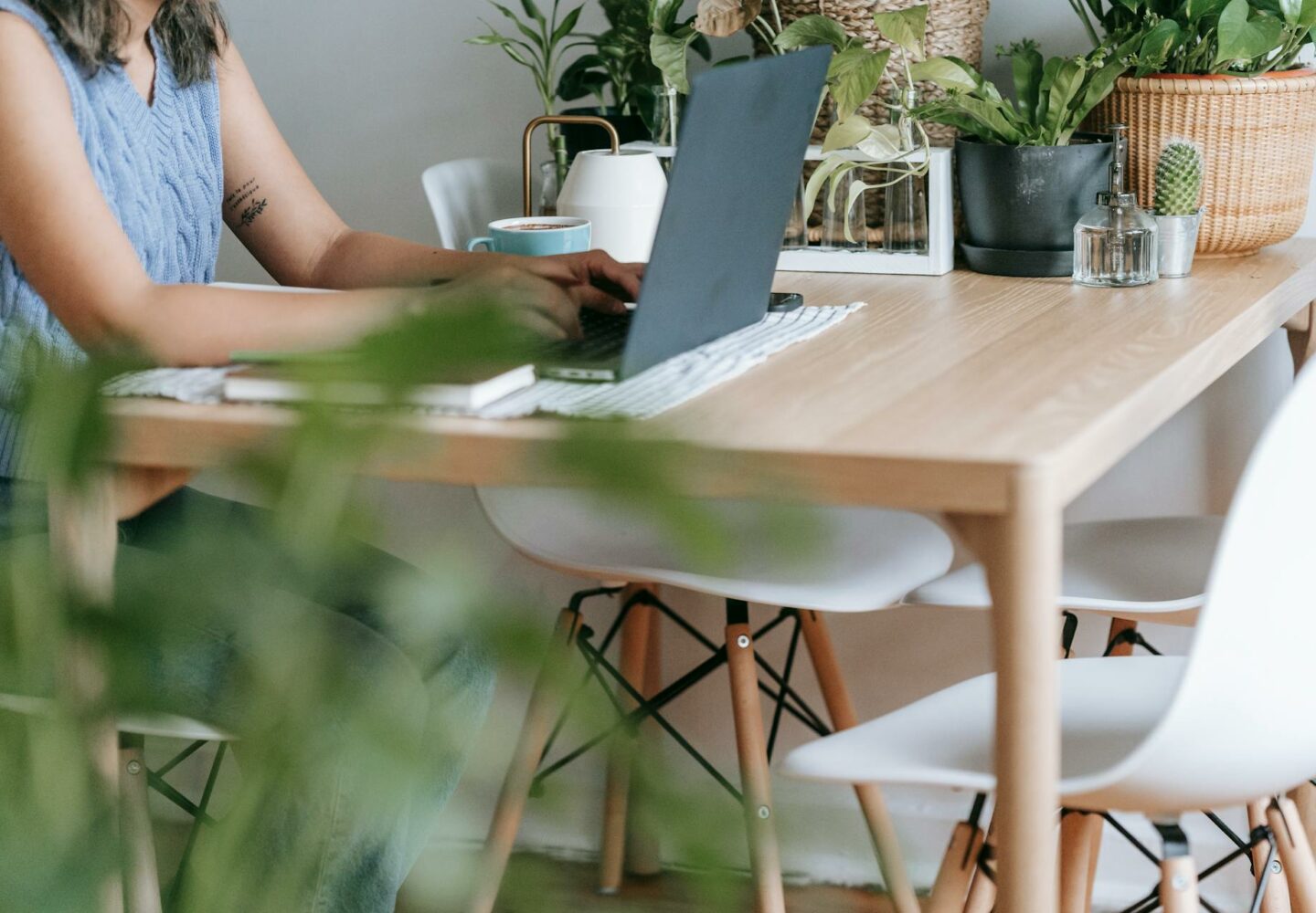 Kwiaty w biurze: jakie gatunki najlepiej oczyszczają powietrze?