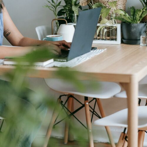 Kwiaty w biurze: jakie gatunki najlepiej oczyszczają powietrze?