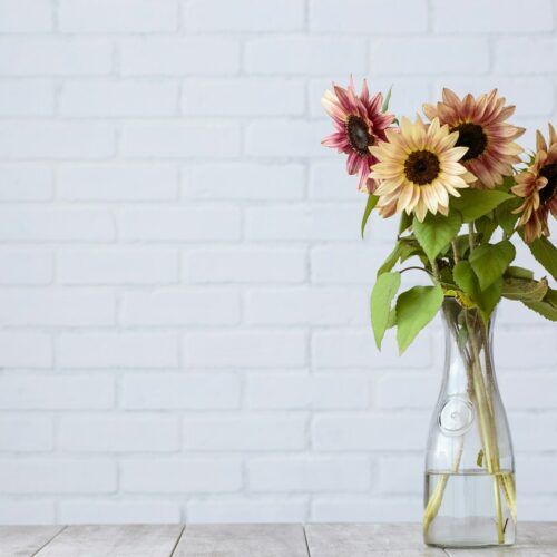 Czego nie dodawać do wody w wazonie – rzeczy, które zabiją Twój bukiet