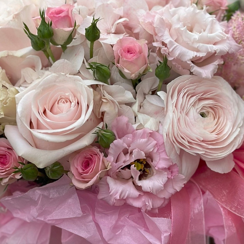 Box Tenderness (3) Box Tenderness (3)