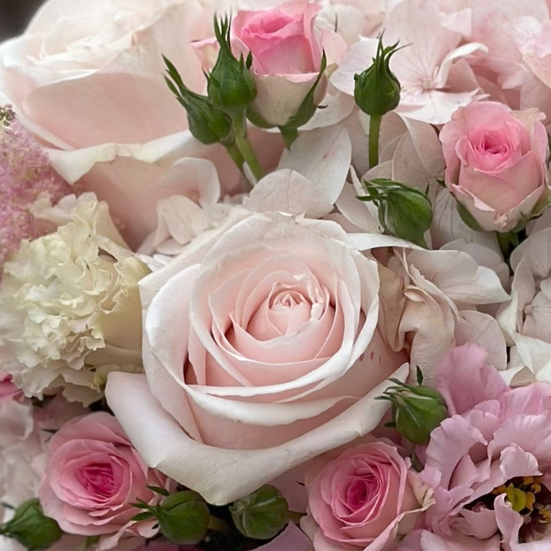 Box Tenderness (4) Box Tenderness (4)