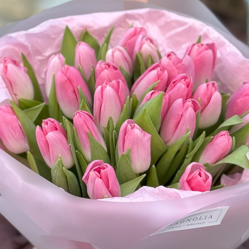 Bukiet różowych tulipanów (2) Bukiet różowych tulipanów (2)