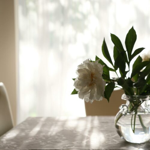 Kwiaty cięte na wiosnę. Które wybrać i dlaczego?